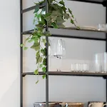 Modern Plac Wolnosci By Renters Apartment Posen